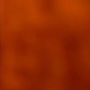 Meet your Posher, Gianna